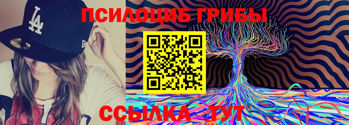 Карпинск  Галлюциногенные грибы Magic Shrooms  Вход с VPN 